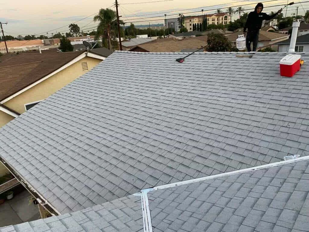 shingle roof replacement